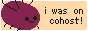 88x31 Button