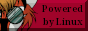 88x31 Button